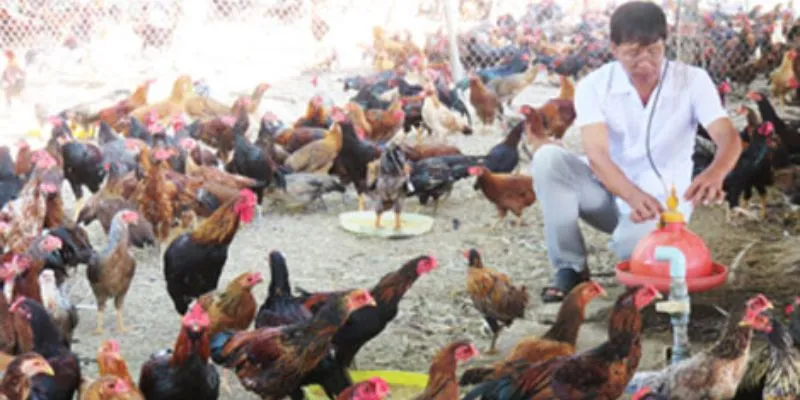 Tùy thuộc vào giai đoạn phát triển mà có chế độ dinh dưỡng khác nhau
