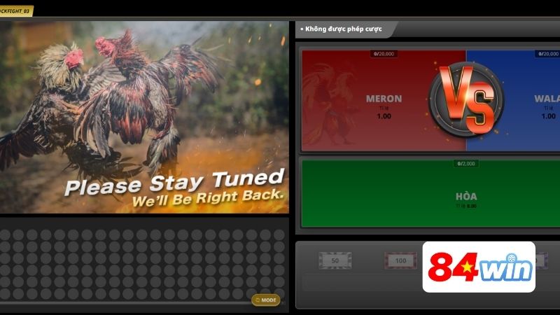 Sảnh game đá gà tại 84WIN - Chất lượng cực đỉnh, không thể chối từ